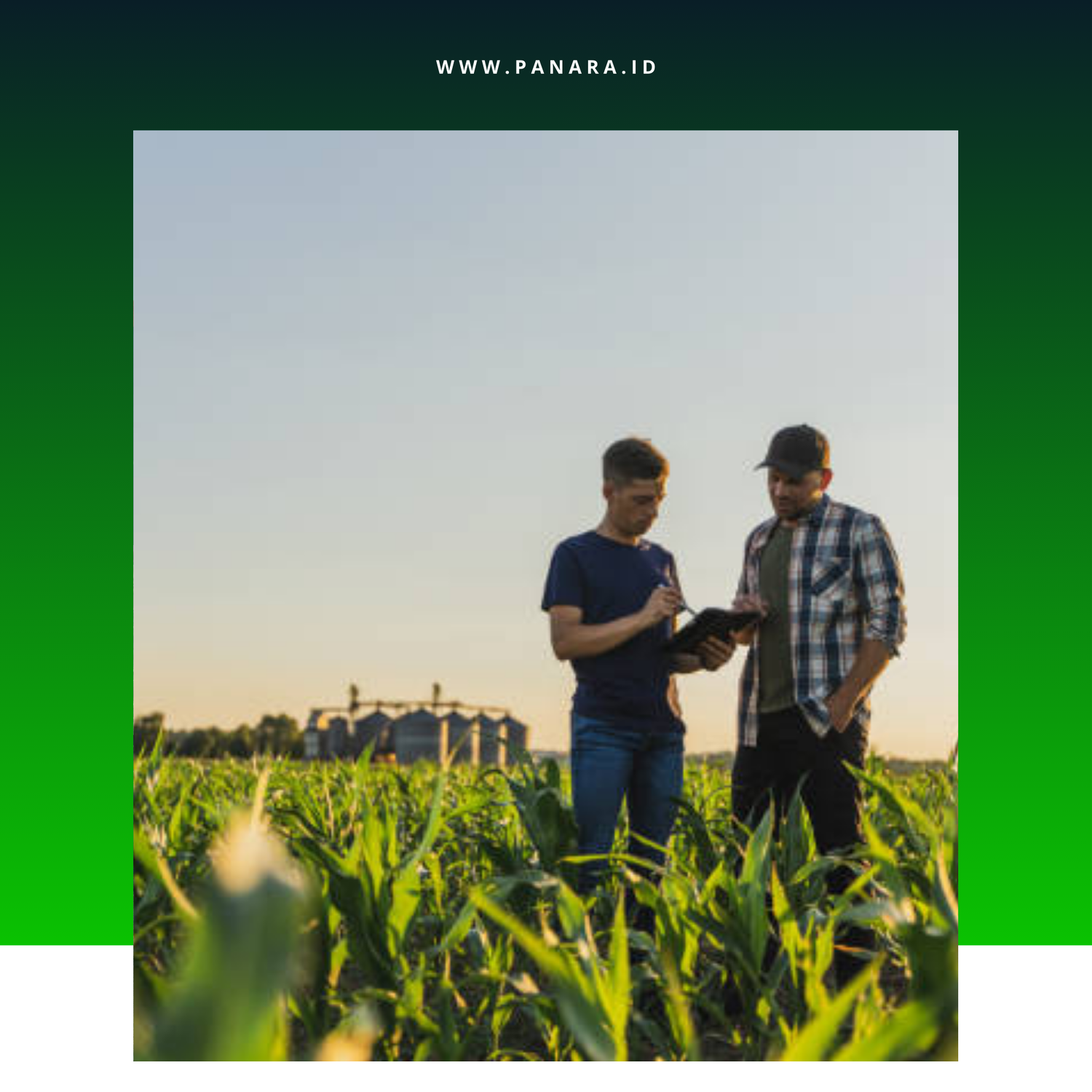 Bidang Pertanian, Perkebunan, Perikanan dan Peternakan