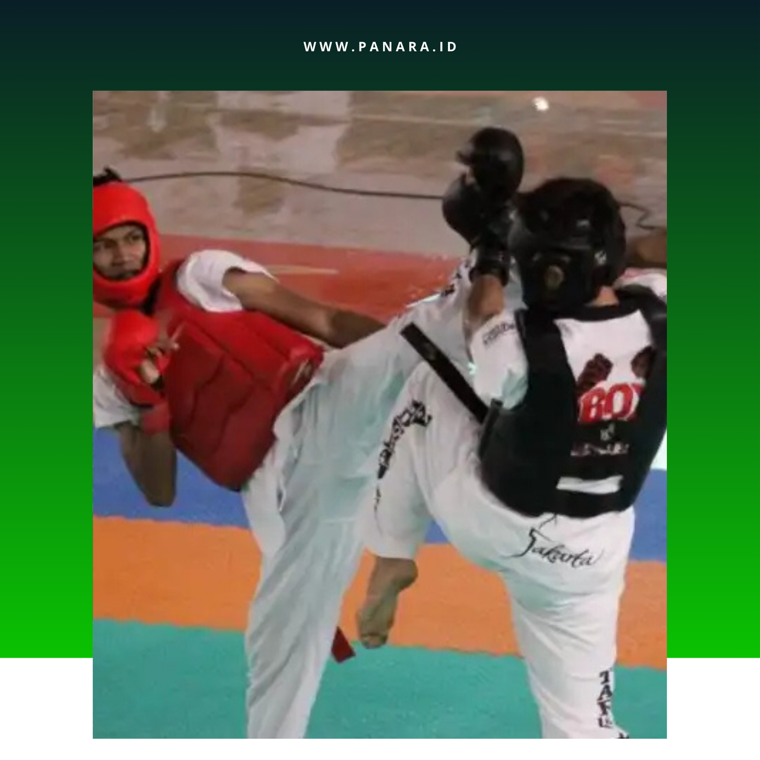 Bidang Seni dan Olahraga